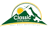 Classic Exciting Safaris